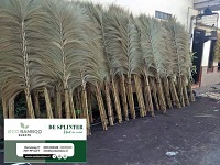 Pluimen, Palm bladeren natuurlijke materialen